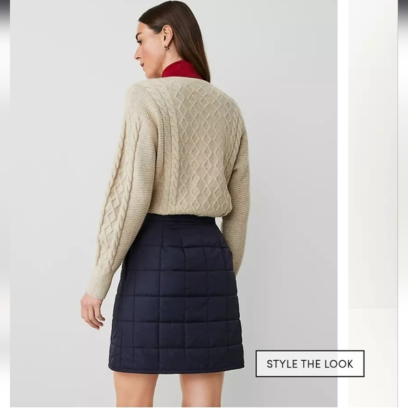 Ann Taylor Dark Blue Quilted Mini Skirt - Picture 3 of 5